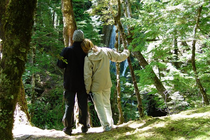 Jet Boat and Wilderness Walk Tour from Wanaka - The guide can make or break the day