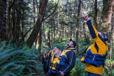 Jet Boat Journey through Fiordland National Park – Pure Wilderness
