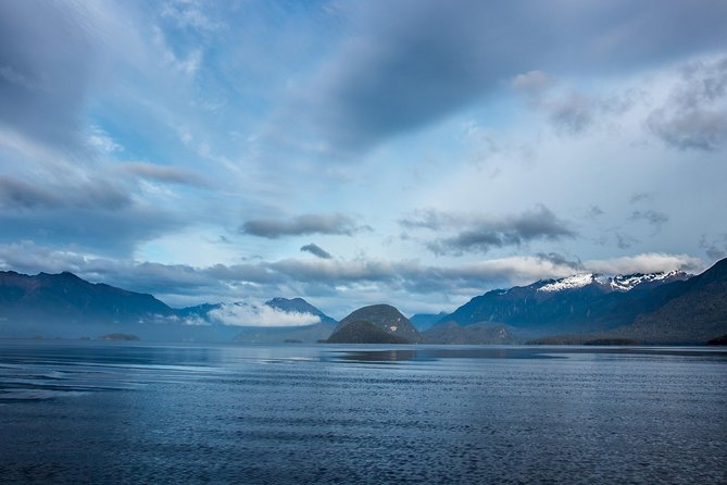 Jet Boat Journey through Fiordland National Park - Pure Wilderness - The return run is part of the fun