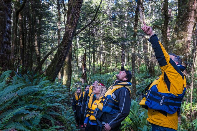 Jet Boat Journey through Fiordland National Park - Pure Wilderness - Reaching Lake Manapouri and the quiet side of the trip