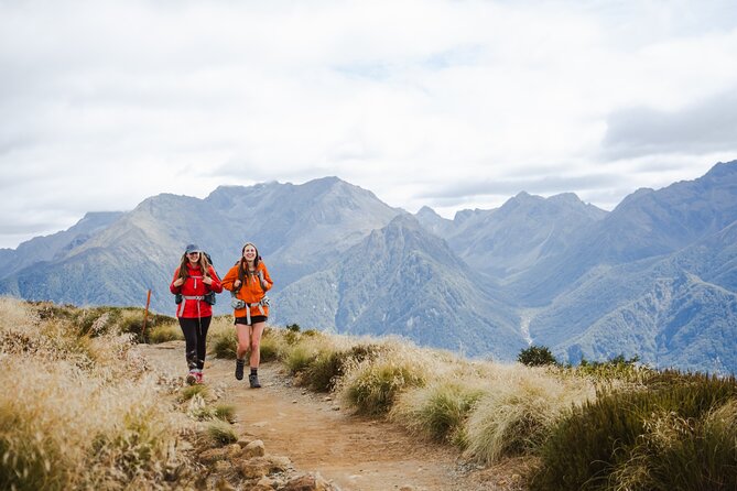Kepler Track Water Taxi - Should you book the Kepler Track Water Taxi?