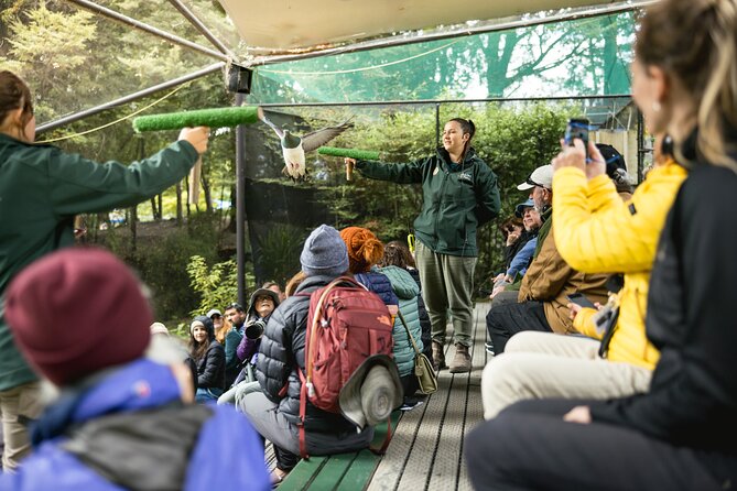 Kiwi Park Queenstown Admission - Conservation shows bring the birds to you