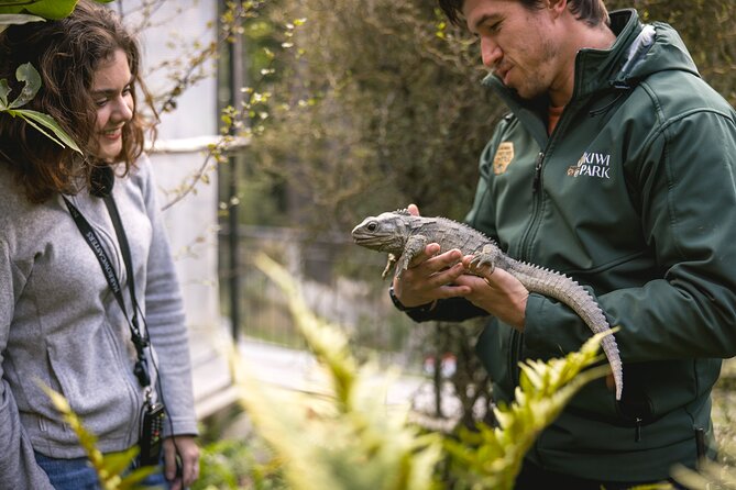Kiwi Park Queenstown Admission - Tuatara and the other native species