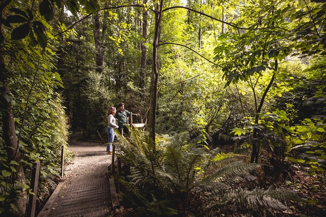 Kiwi Park Queenstown Admission - The audio guide lets you set your own pace