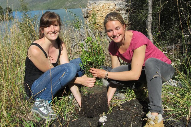 Lake Cruise & Mou Waho Island Nature Walk - Key points before you book
