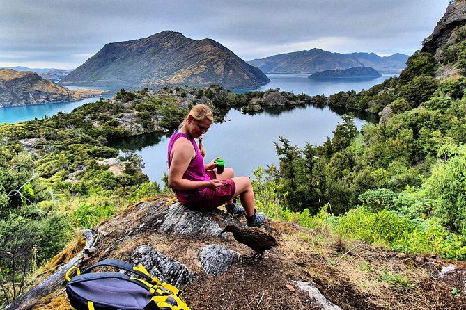 Lake Cruise & Mou Waho Island Nature Walk - Buff Weka and the Island’s Natural Story
