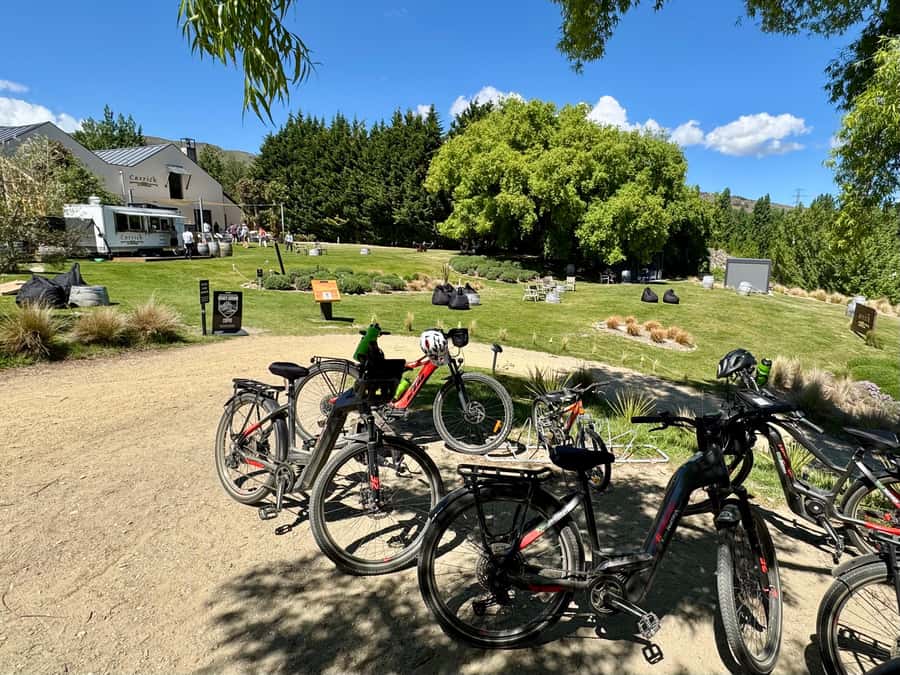 Lake Dunstan Trail eBike Adventure (inc Shuttle) - Who will enjoy this ride most
