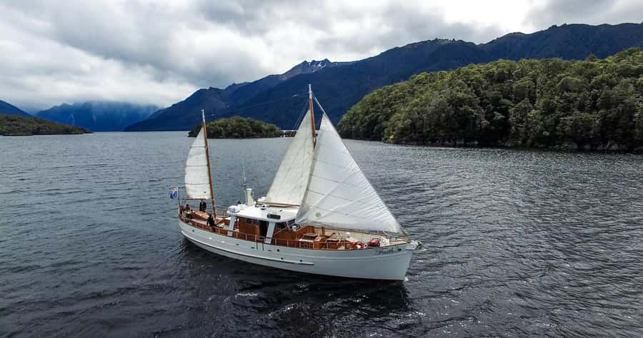 Lake Te Anau: 3-Hour Boat Cruise with Guided Walk - Canapés and drinks in a sheltered cove