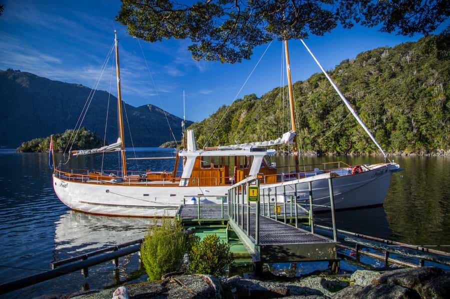 Lake Te Anau: 3-Hour Boat Cruise with Guided Walk - Is $86 a fair price?