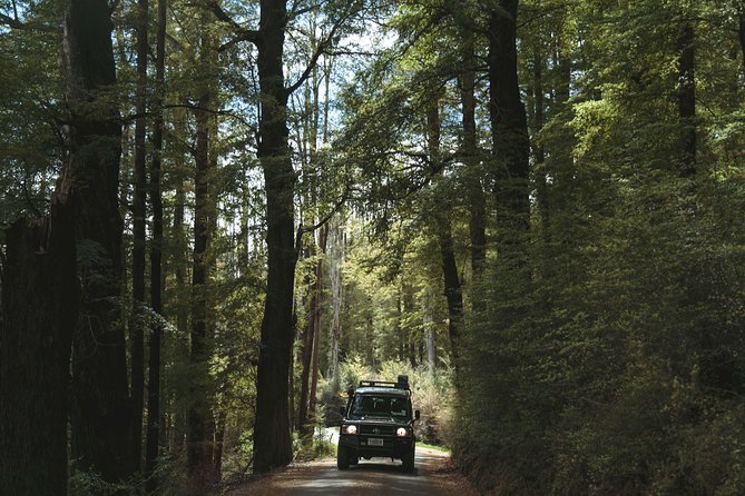 Lord of Rings Tour around Queenstown Lakes by 4WD (full day) - Lunch at Big Fig Queenstown