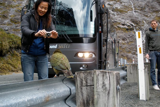Luxury Milford Sound Coach and Scenic Cruise - The 7:00 am start from Queenstown