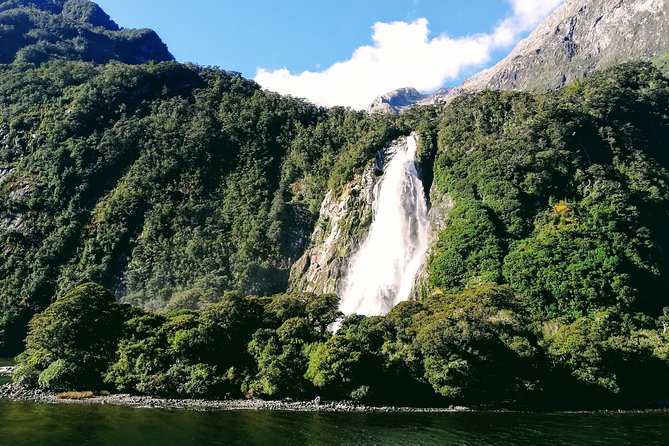 Luxury Milford Sound Coach and Scenic Cruise - Lunch, comfort, and the return journey