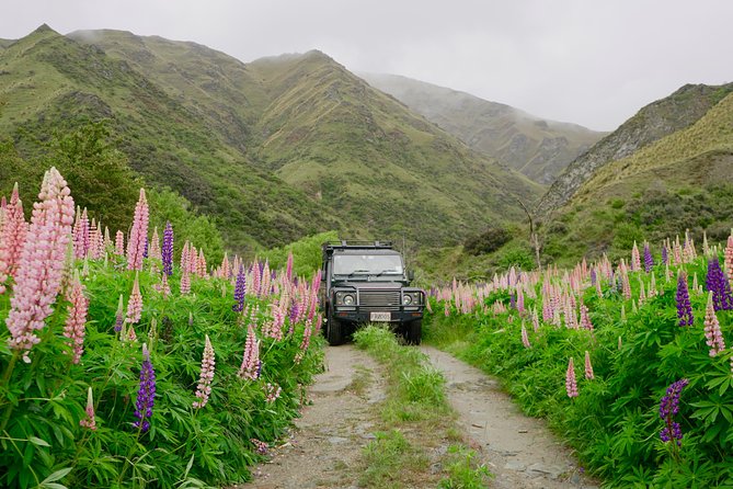 Macetown 4WD Adventure – Full Day Guided Tour from Queenstown - What the $391.44 price includes