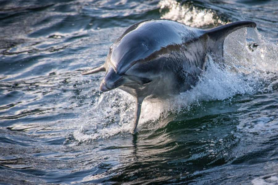 Manapouri: Doubtful Sound Overnight Cruise (2 Nights) - Why two nights changes Doubtful Sound