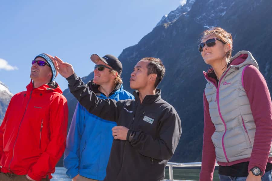 Milford Sound: 2-Hour Small Boat Scenic Cruise - Seals, dolphins, and seasonal penguins