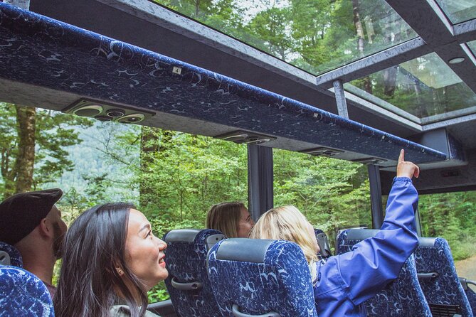 Milford Sound Coach and Cruise tour from Queenstown - Five things to know before booking