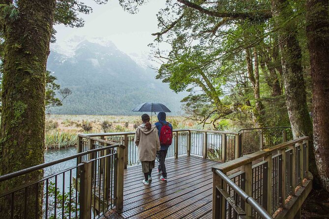 Milford Sound Coach and Cruise tour from Queenstown - Finding a good place to see the waterfalls