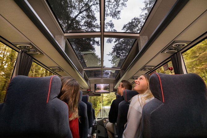 Milford Sound Coach & Cruise ex Te Anau Stunning Views with Lunch - Key points at a glance