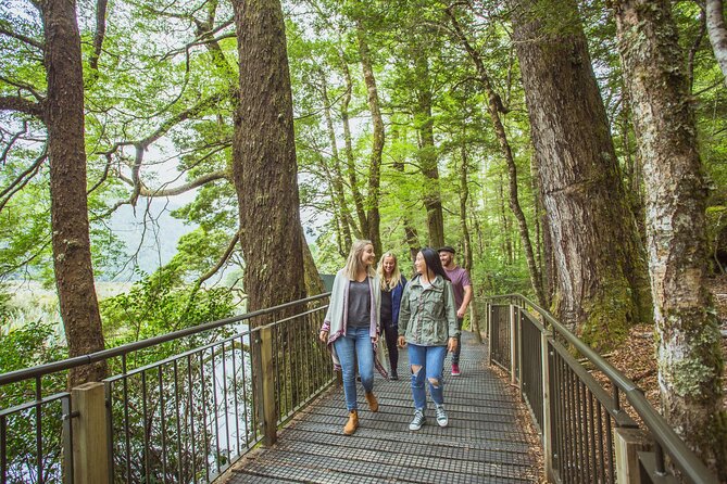 Milford Sound Coach & Cruise Tour from Te Anau - Three hours through Fiordland National Park