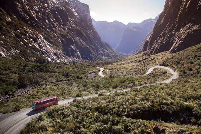 Milford Sound Coach & Extended Cruise from Queenstown - Why the long road to Milford Sound is part of the trip