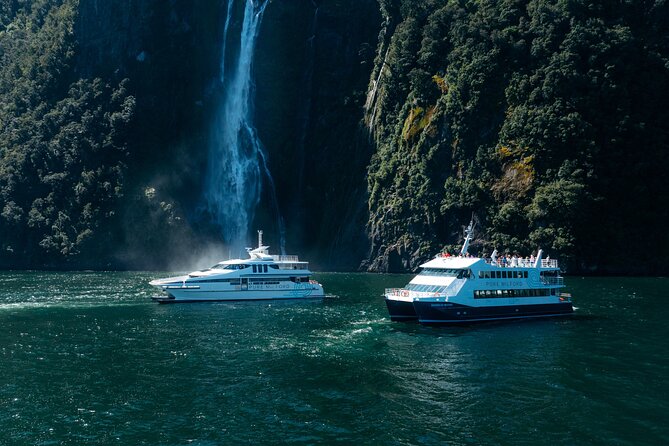 Milford Sound Cruise - Key points before you book