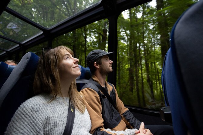 Milford Sound Cruise from Queenstown or Te Anau - The price and the value of the long day