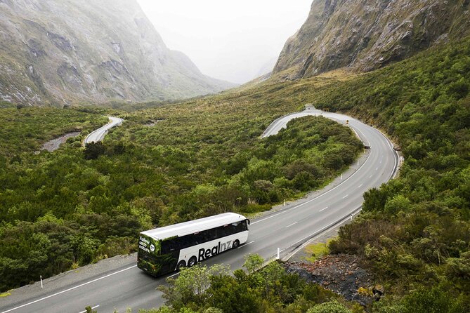 Milford Sound Cruise from Queenstown or Te Anau - Who should book this Milford Sound tour?