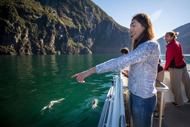 Milford Sound Cruise: Stunning Views & Optional Picnic or Buffet - Seal Point, Sinbad Gully, and the wildlife search