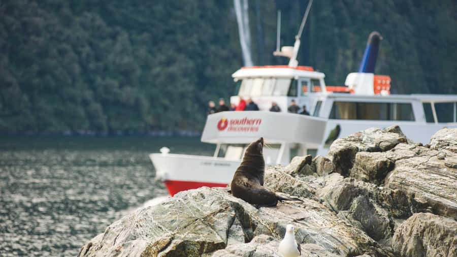 Milford Sound: Discover More on Our Longest Cruise - Key points to know before booking