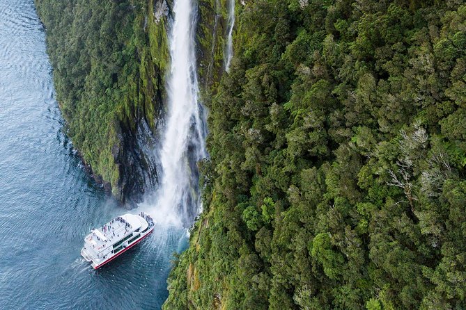 Milford Sound Luxury Lunch Cruise onboard The Fiordland Jewel - Wildlife sightings depend on nature