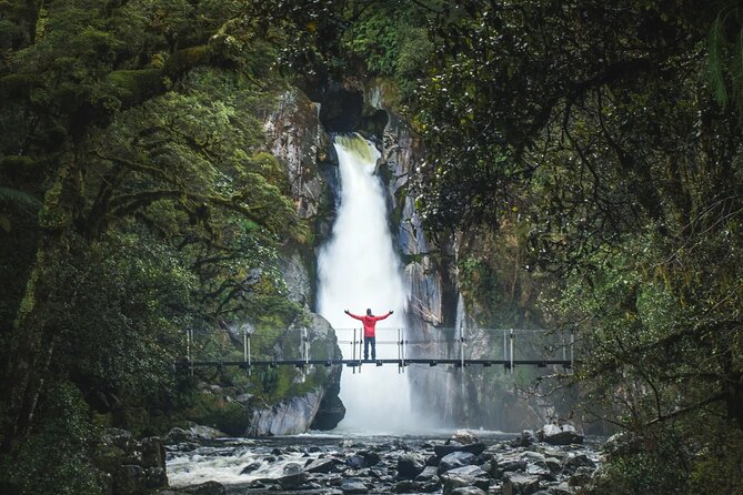 Milford Sound Nature Cruise and Self-Guided Scenic Track Walk - Key Points at a Glance