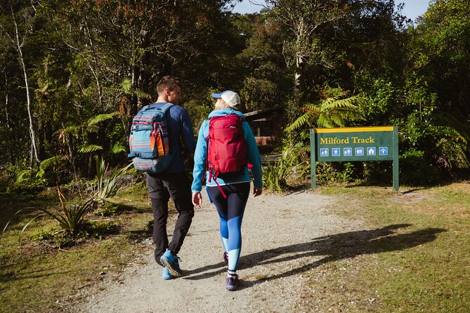 Milford Sound Nature Cruise and Self-Guided Scenic Track Walk - The 10:30am Cruise: See the Fiord Before Walking