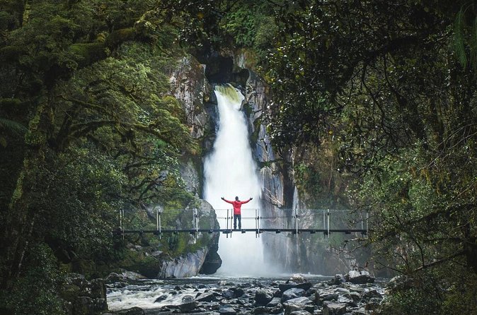 Milford Sound Nature Cruise and Self-Guided Scenic Track Walk - What the Cruise Adds After the Track