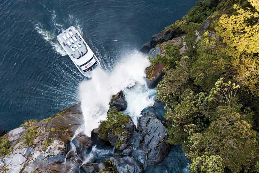 Milford Sound: Nature Cruise - Grand Views & Optional Lunch - Key details before you book