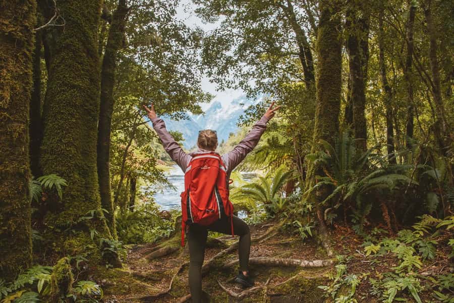 Milford Sound: Nature Cruise & Milford Track Walk - Choosing the 9am walk-first departure