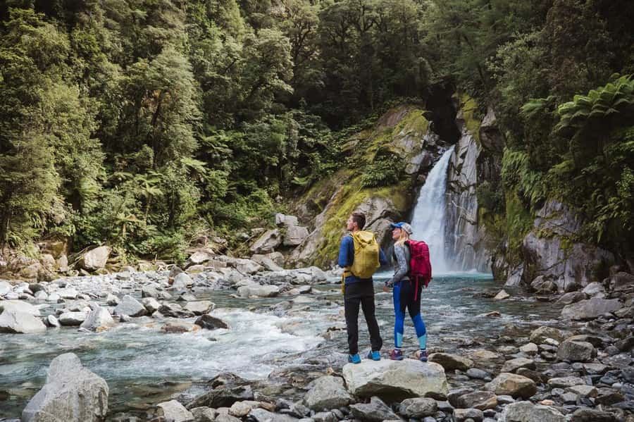 Milford Sound: Nature Cruise & Milford Track Walk - Seeing Mitre Peak and the waterfalls from the catamaran