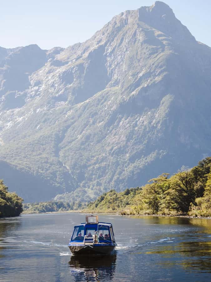 Milford Sound: Nature Cruise & Milford Track Walk - What the self-guided format means for your day