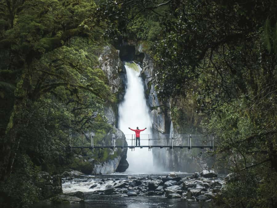 Milford Sound: Nature Cruise & Milford Track Walk - Who should book this Milford Sound combination?