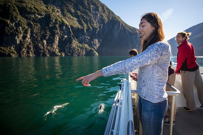 Milford Sound Nature Cruise with Southern Discoveries - Key points to know before booking