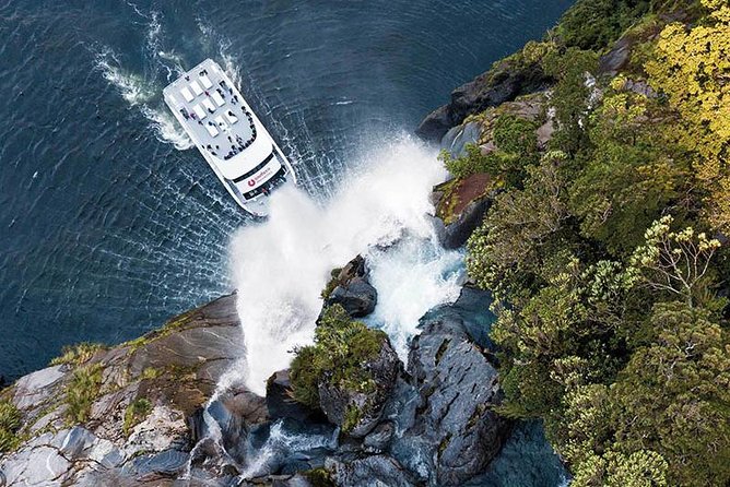 Milford Sound Premium Coach and Cruise with Lunch from Te Anau - Eglinton Valley and Lake Gunn