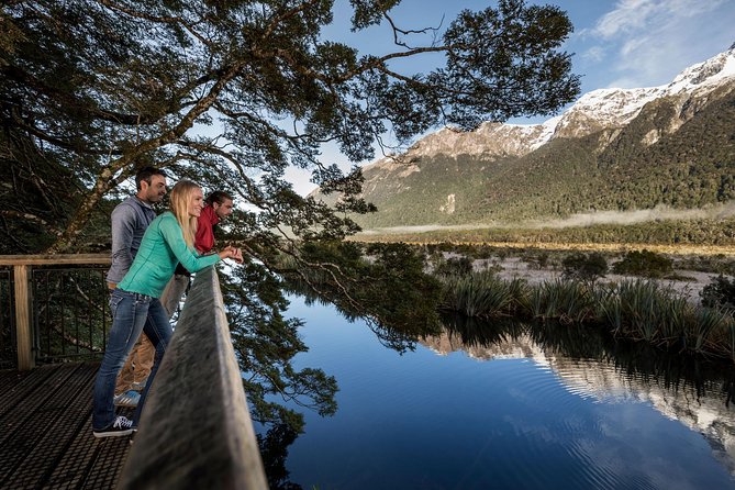 Milford Sound Premium Coach and Cruise with Lunch from Te Anau - Monkey Creek and the alpine road