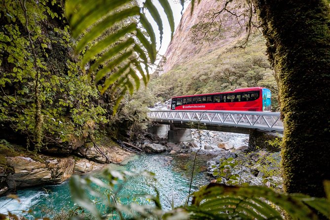 Milford Sound Premium Coach and Cruise with Lunch from Te Anau - Comfort helps, but seating is not guaranteed