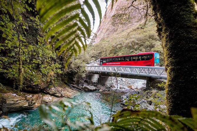 Milford Sound Premium Coach & Cruise from Queenstown with Lunch - Lunch, tea, and coffee on board