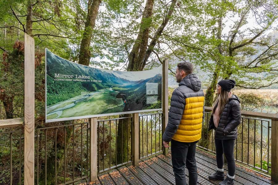 Milford Sound: Premium Small Group Tour from Queenstown - Should you book it?