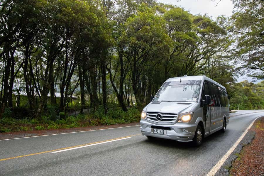 Milford Sound: Premium Small Group Tour from Queenstown - The two-hour cruise beneath Milford Sound’s cliffs