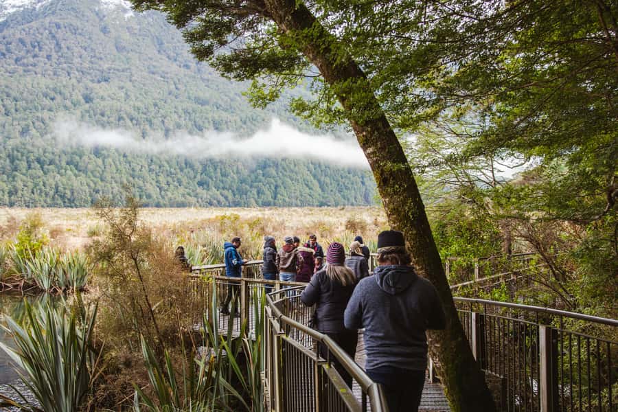 Milford Sound: Premium Small Group Tour from Queenstown - The return drive to Queenstown