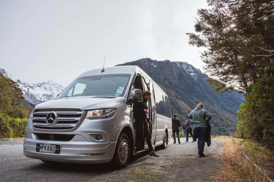 Milford Sound: Premium Small Group Tour from Queenstown - Who should book this Milford Sound tour?