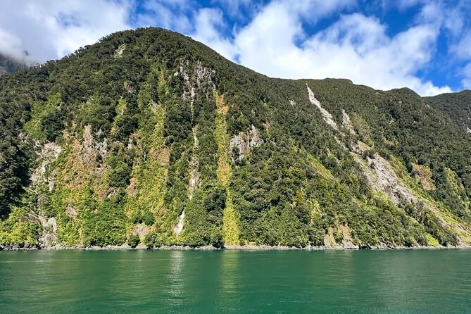 Milford Sound Private Day Trip from Queenstown via Te Anau - Mirror Lakes gives you a quiet contrast