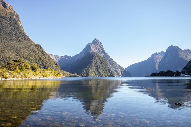 Milford Sound Small Group Tour from Queenstown with Scenic Flight - Why the road-to-cruise-to-flight plan works