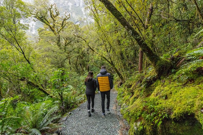 Milford Sound Small Group Tour from Queenstown with Scenic Flight - Eglinton Valley and Mirror Lakes add variety